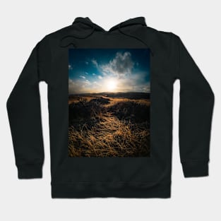 Golden Meadow Glow Hoodie